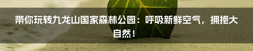 带你玩转九龙山国家森林公园：呼吸新鲜空气，拥抱大自然！