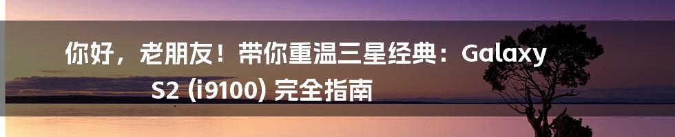 你好,老朋友!带你重温三星经典:Galaxy S2 (i9100) 完全指南