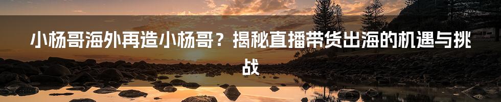 小杨哥海外再造小杨哥?揭秘直播带货出海的机遇与挑战