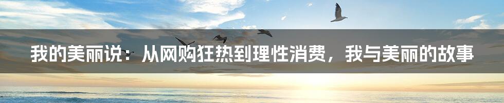 我的美丽说：从网购狂热到理性消费，我与美丽的故事