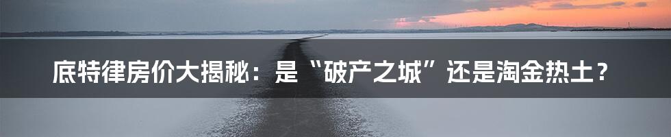 底特律房价大揭秘:是“破产之城”还是淘金热土?