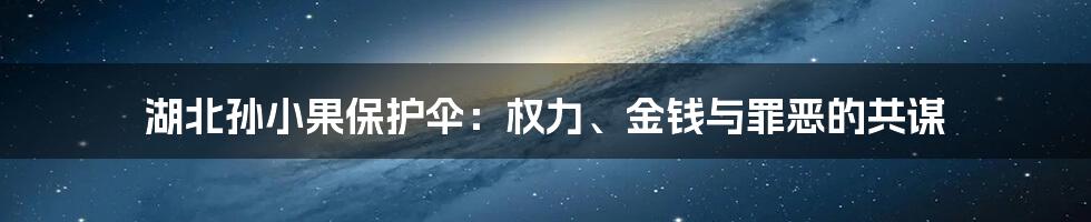 湖北孙小果保护伞:权力、金钱与罪恶的共谋
