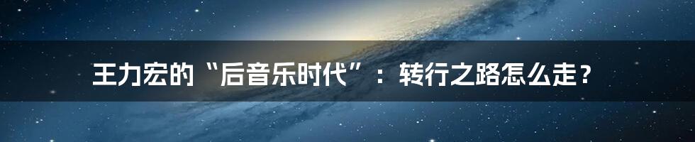 王力宏的“后音乐时代”:转行之路怎么走?