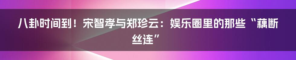 八卦时间到！宋智孝与郑珍云：娱乐圈里的那些“藕断丝连”