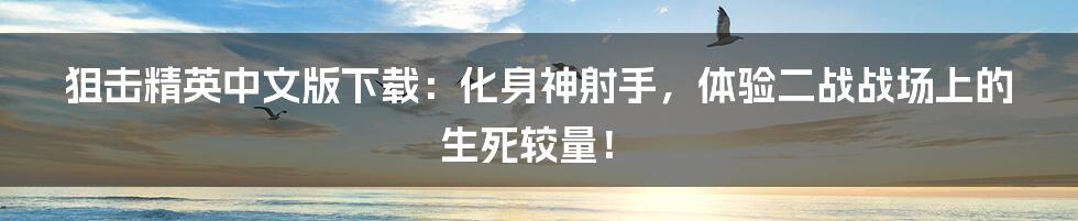 狙击精英中文版下载:化身神射手,体验二战战场上的生死较量!