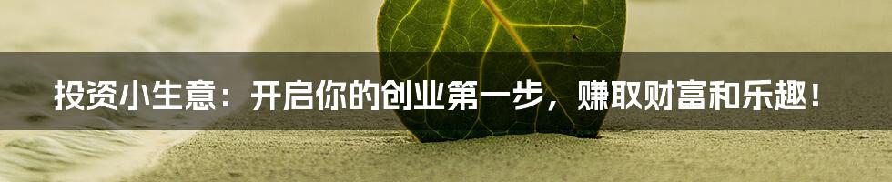 投资小生意:开启你的创业第一步,赚取财富和乐趣!