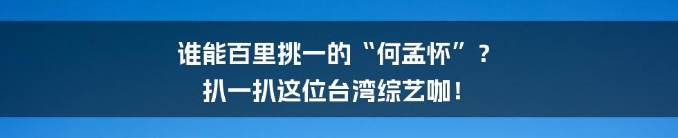 谁能百里挑一的“何孟怀”？ 扒一扒这位台湾综艺咖！