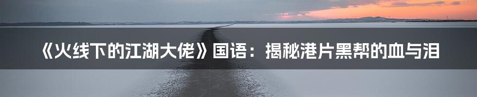 《火线下的江湖大佬》国语：揭秘港片黑帮的血与泪