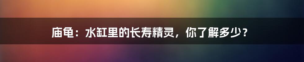 庙龟：水缸里的长寿精灵，你了解多少？