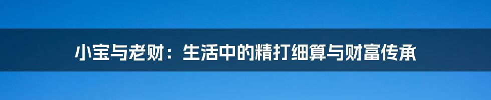 小宝与老财:生活中的精打细算与财富传承