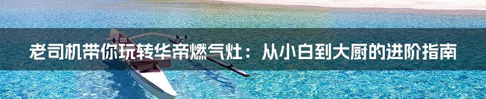 老司机带你玩转华帝燃气灶:从小白到大厨的进阶指南