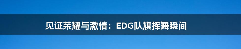 见证荣耀与激情:EDG队旗挥舞瞬间