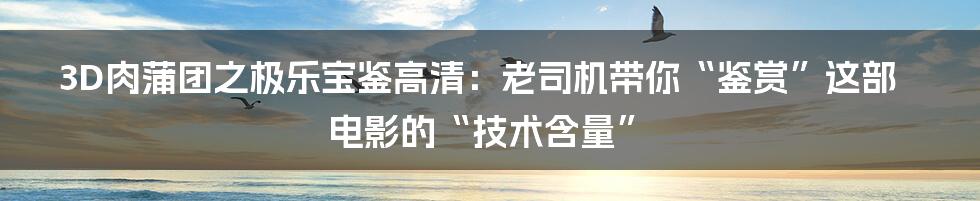 3D肉蒲团之极乐宝鉴高清:老司机带你“鉴赏”这部电影的“技术含量”