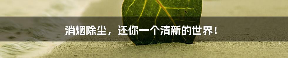 消烟除尘,还你一个清新的世界!