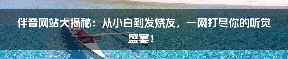 伴音网站大揭秘：从小白到发烧友，一网打尽你的听觉盛宴！