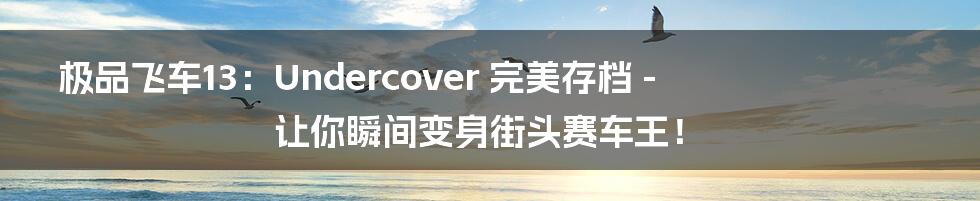 极品飞车13:Undercover 完美存档 - 让你瞬间变身街头赛车王!