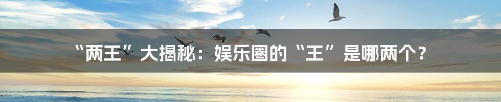 “两王”大揭秘:娱乐圈的“王”是哪两个?