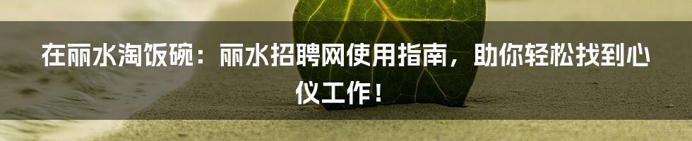 在丽水淘饭碗:丽水招聘网使用指南,助你轻松找到心仪工作!