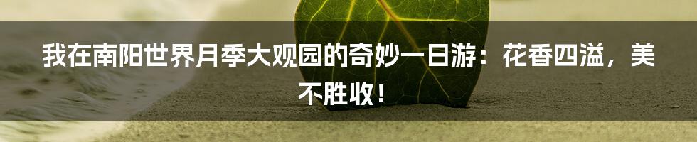 我在南阳世界月季大观园的奇妙一日游:花香四溢,美不胜收!