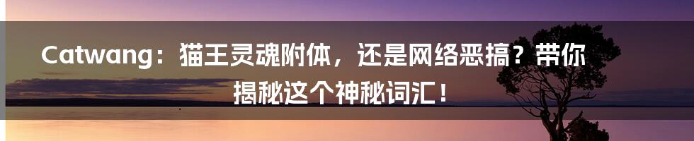 Catwang:猫王灵魂附体,还是网络恶搞?带你揭秘这个神秘词汇!