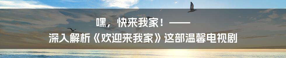 嘿,快来我家!—— 深入解析《欢迎来我家》这部温馨电视剧