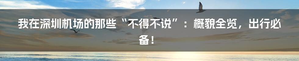 我在深圳机场的那些“不得不说”：概貌全览，出行必备！