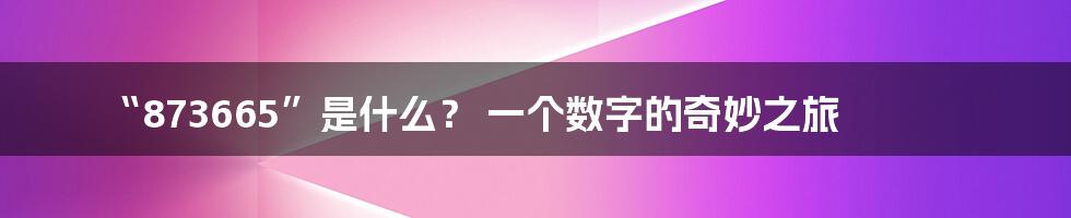 “873665”是什么? 一个数字的奇妙之旅