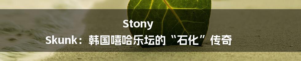 Stony Skunk:韩国嘻哈乐坛的“石化”传奇