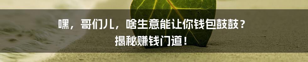 嘿，哥们儿，啥生意能让你钱包鼓鼓？ 揭秘赚钱门道！
