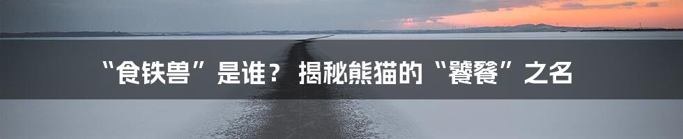 “食铁兽”是谁？ 揭秘熊猫的“饕餮”之名