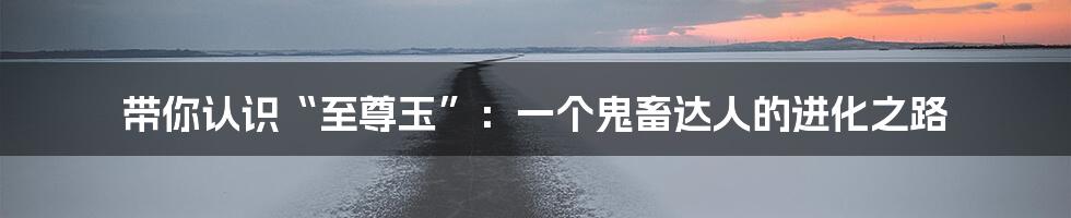带你认识“至尊玉”:一个鬼畜达人的进化之路