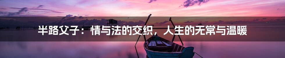半路父子：情与法的交织，人生的无常与温暖