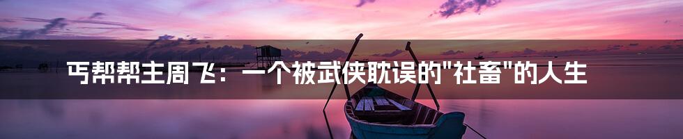 丐帮帮主周飞：一个被武侠耽误的"社畜"的人生