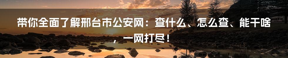 带你全面了解邢台市公安网：查什么、怎么查、能干啥，一网打尽！