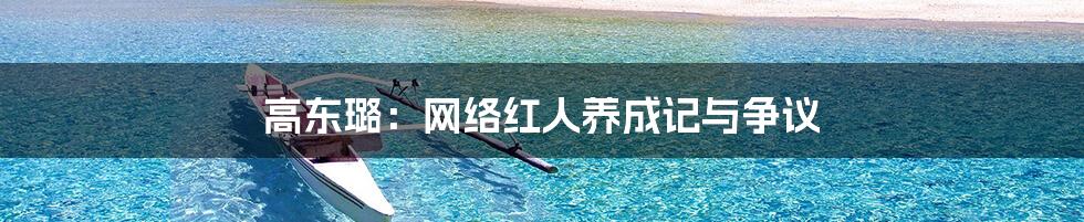 高东璐:网络红人养成记与争议