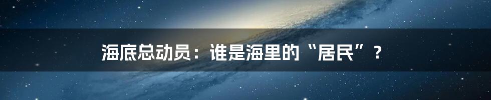 海底总动员:谁是海里的“居民”?