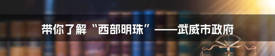 带你了解“西部明珠”——武威市政府