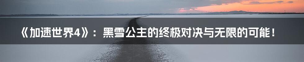 《加速世界4》:黑雪公主的终极对决与无限的可能!