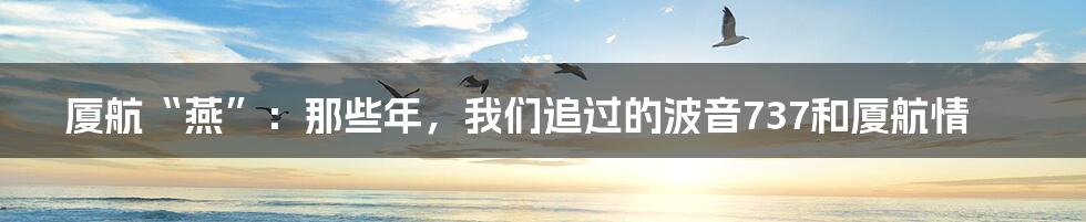 厦航“燕”:那些年,我们追过的波音737和厦航情