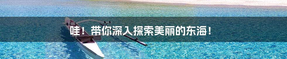 哇!带你深入探索美丽的东海!