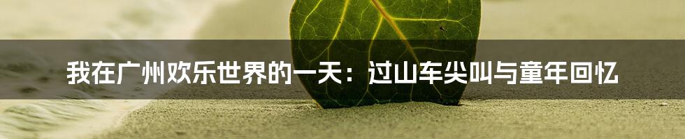我在广州欢乐世界的一天：过山车尖叫与童年回忆