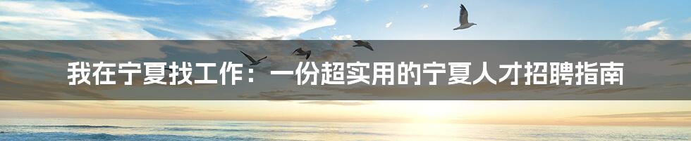 我在宁夏找工作：一份超实用的宁夏人才招聘指南