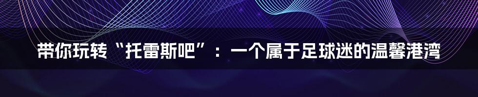 带你玩转“托雷斯吧”：一个属于足球迷的温馨港湾