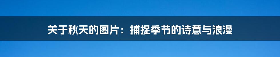 关于秋天的图片:捕捉季节的诗意与浪漫