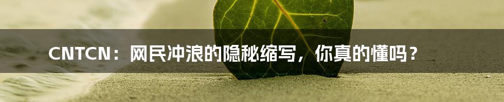 CNTCN：网民冲浪的隐秘缩写，你真的懂吗？