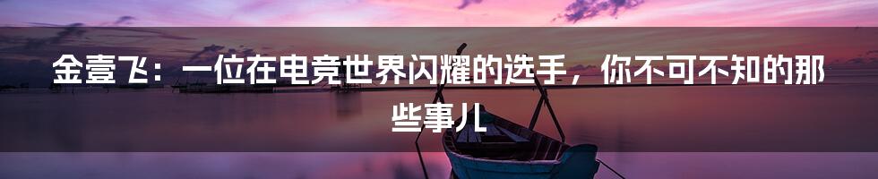 金壹飞:一位在电竞世界闪耀的选手,你不可不知的那些事儿