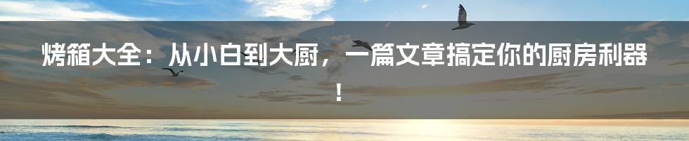 烤箱大全:从小白到大厨,一篇文章搞定你的厨房利器!
