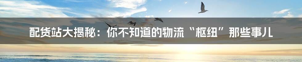 配货站大揭秘:你不知道的物流“枢纽”那些事儿