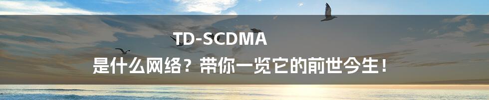 TD-SCDMA 是什么网络?带你一览它的前世今生!