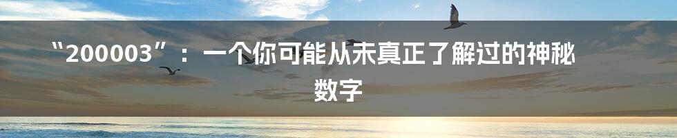 “200003”:一个你可能从未真正了解过的神秘数字